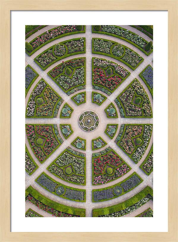 Topdown View Of A Botanical Garden