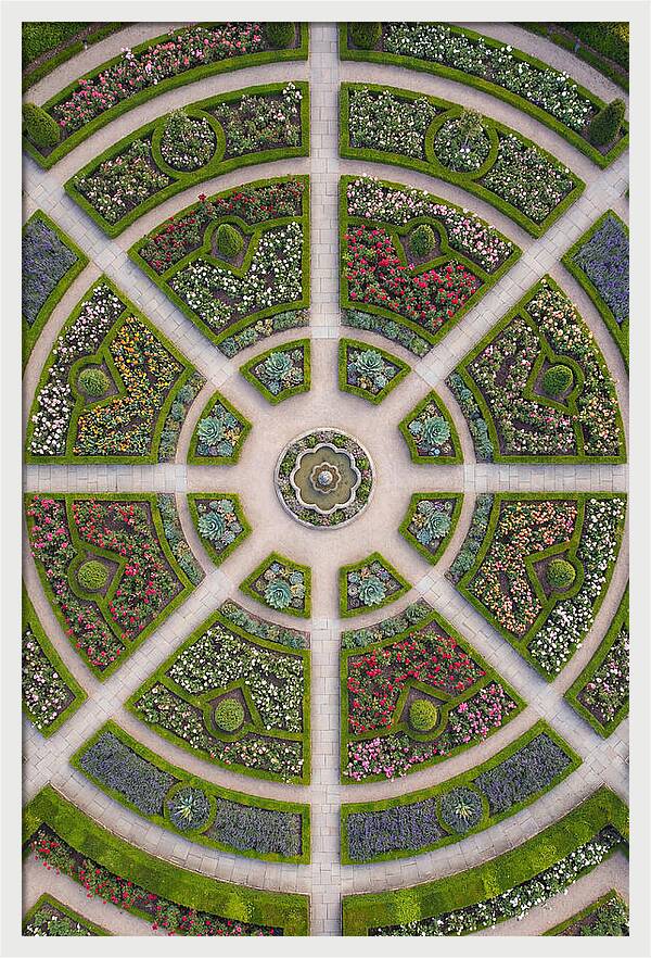 Topdown View Of A Botanical Garden