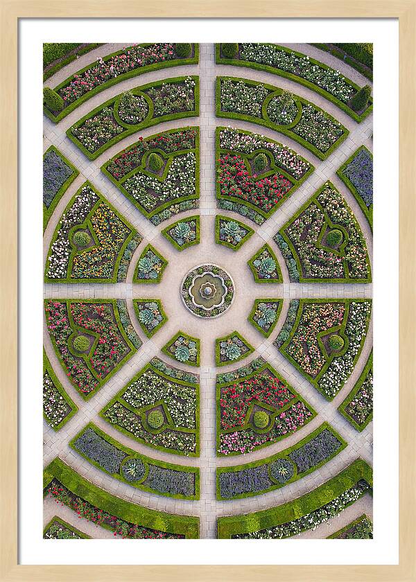 Topdown View Of A Botanical Garden
