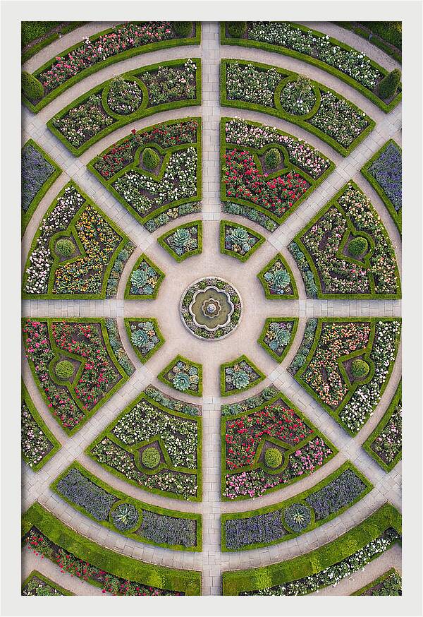 Topdown View Of A Botanical Garden