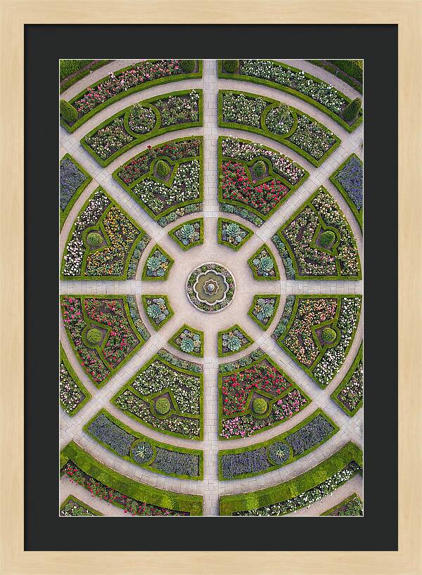 Topdown View Of A Botanical Garden