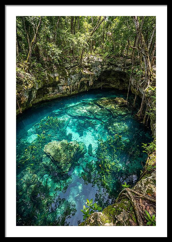 Topdown View Of A Cenote