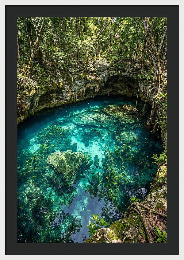 Topdown View Of A Cenote