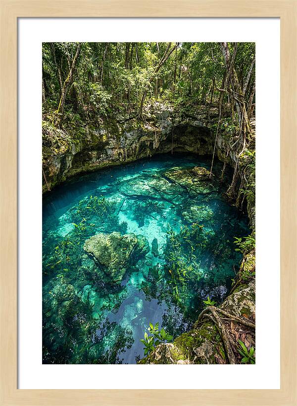 Topdown View Of A Cenote