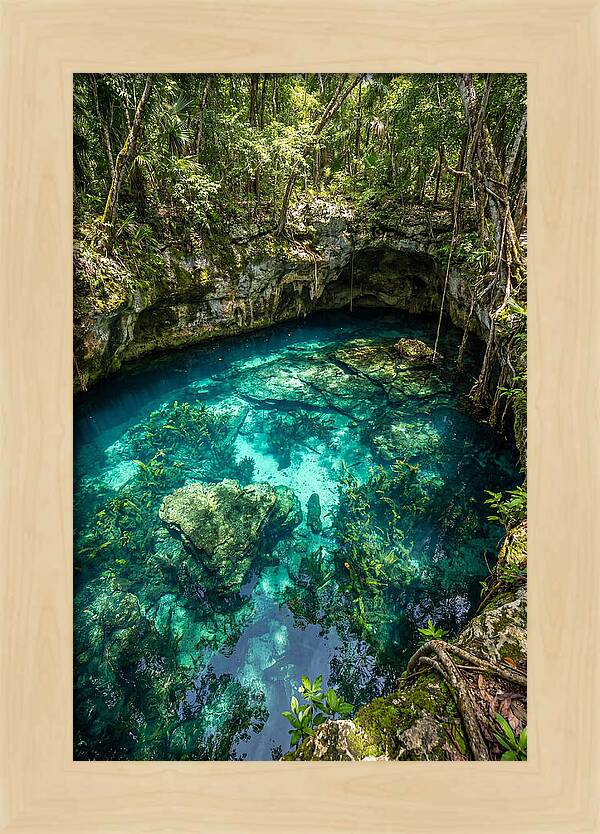 Topdown View Of A Cenote
