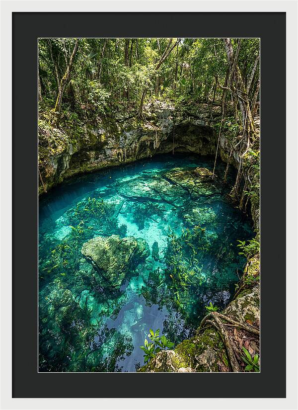 Topdown View Of A Cenote