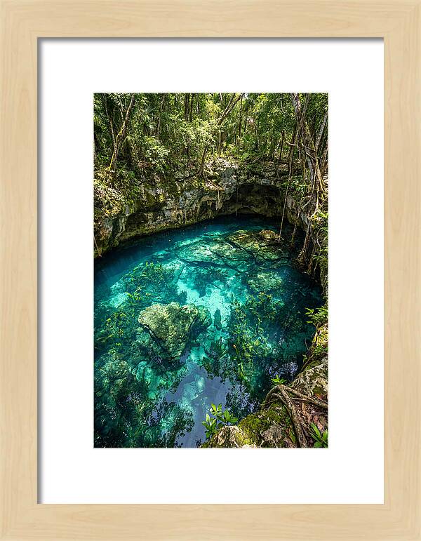 Topdown View Of A Cenote
