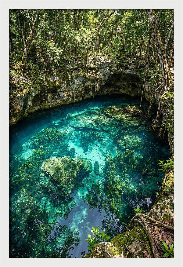 Topdown View Of A Cenote