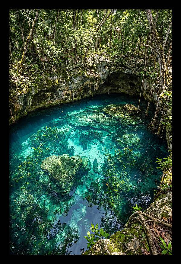 Topdown View Of A Cenote