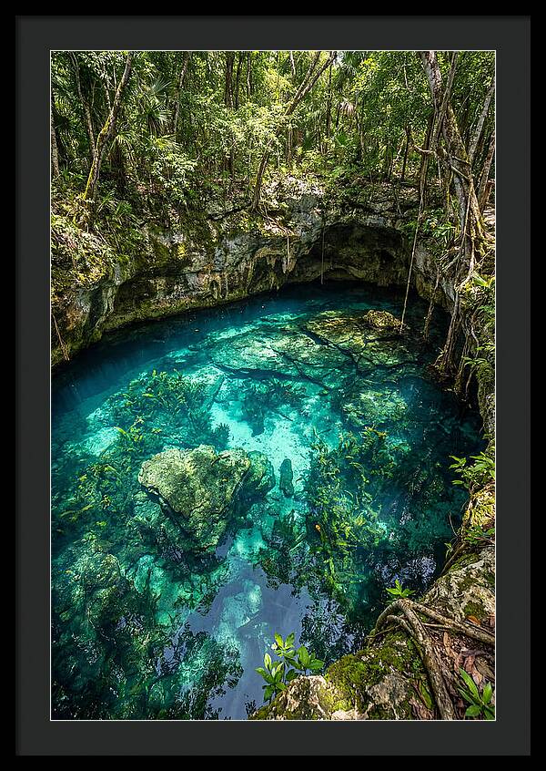 Topdown View Of A Cenote