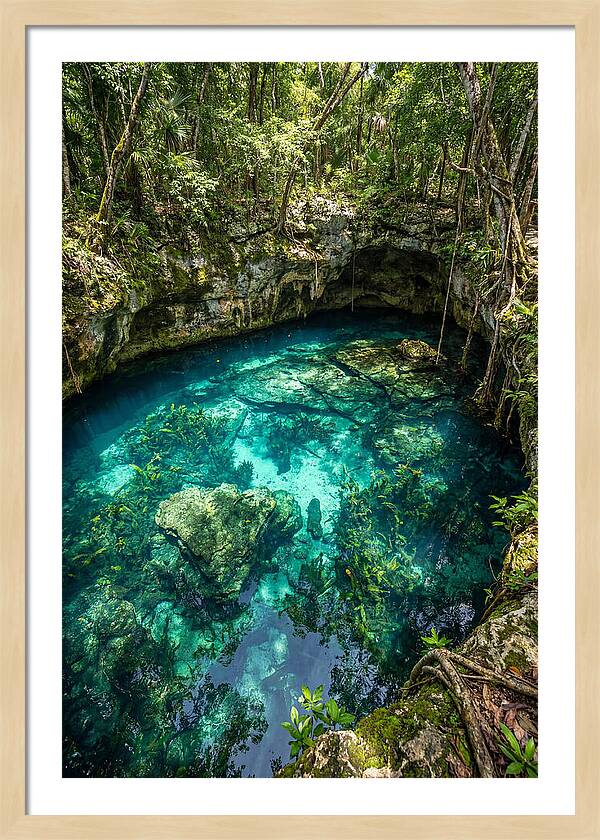 Topdown View Of A Cenote