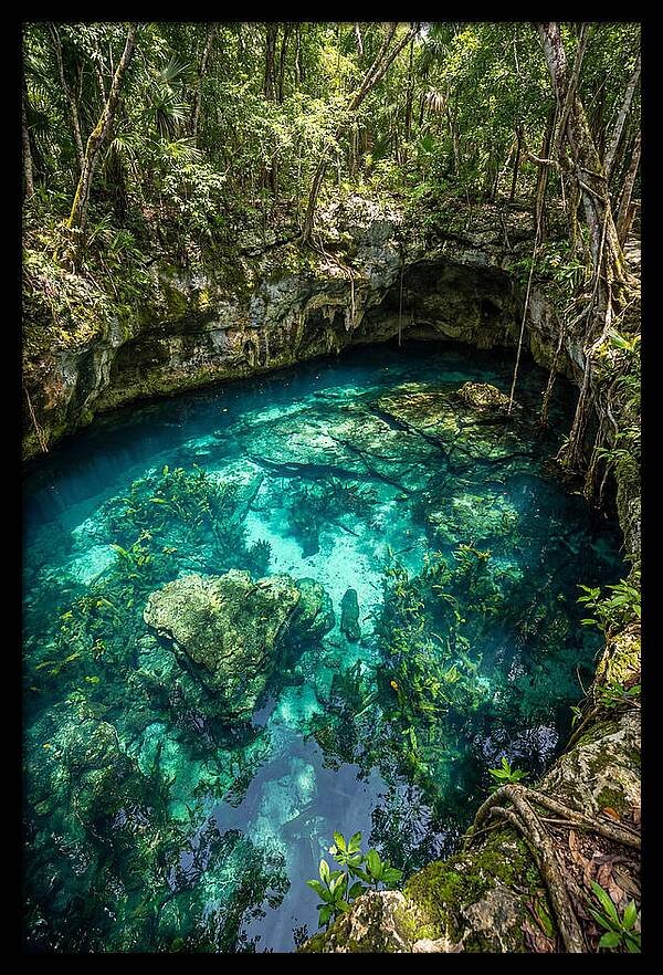 Topdown View Of A Cenote