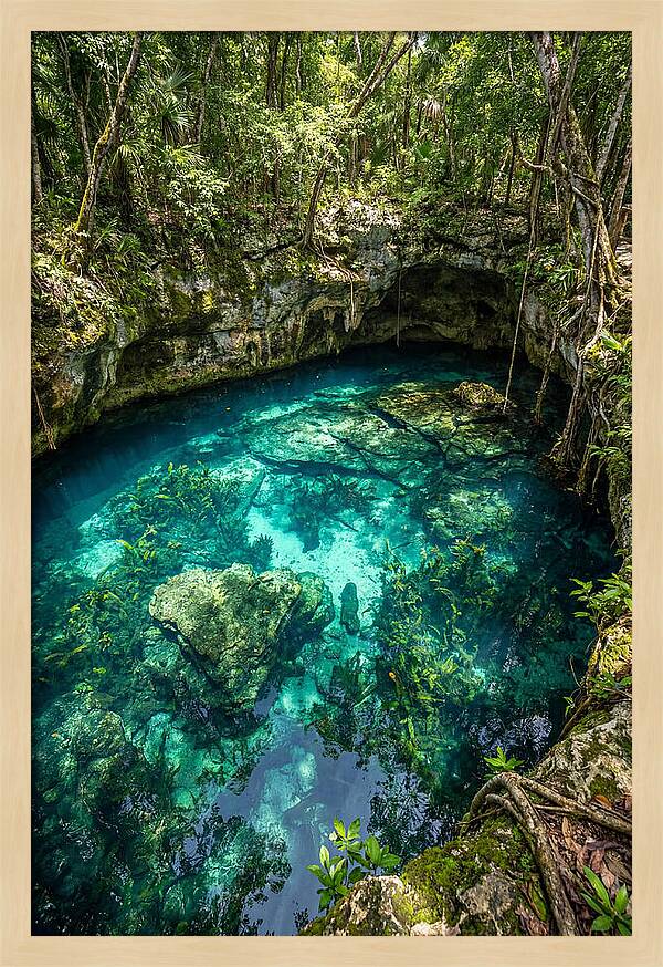 Topdown View Of A Cenote