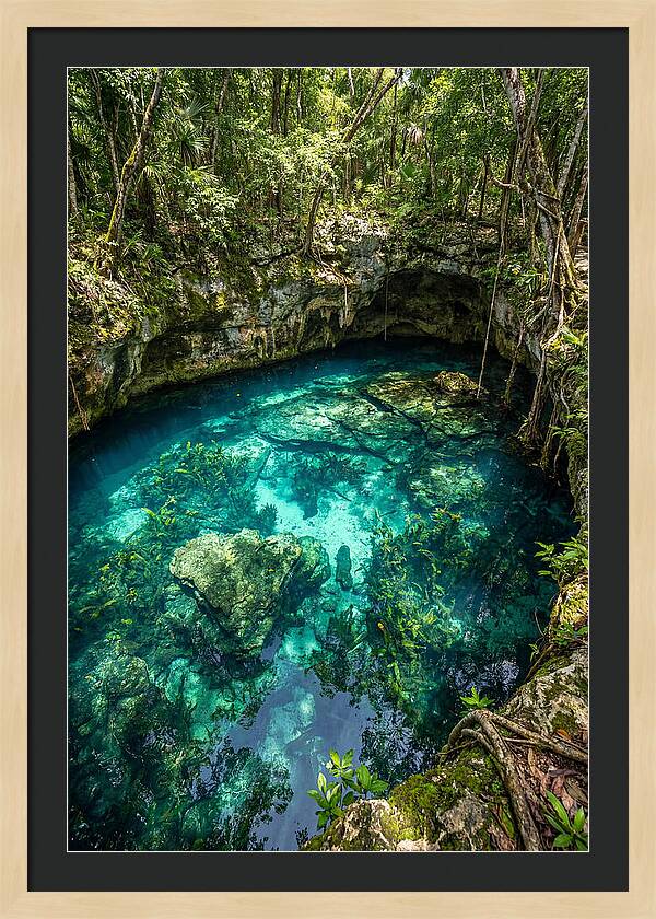 Topdown View Of A Cenote