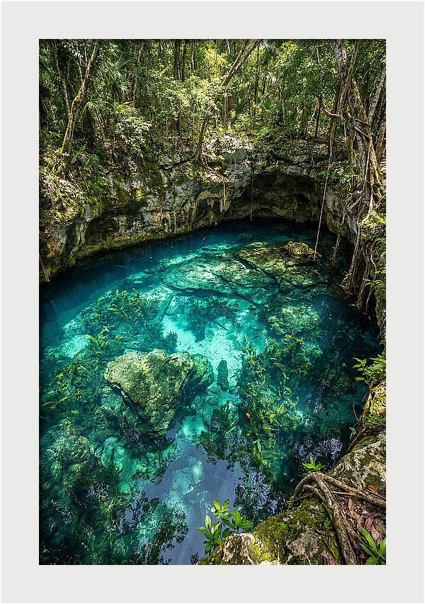 Topdown View Of A Cenote
