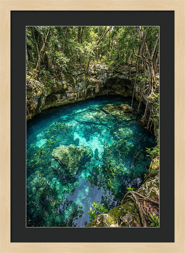 Topdown View Of A Cenote