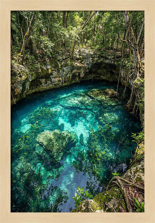 Topdown View Of A Cenote