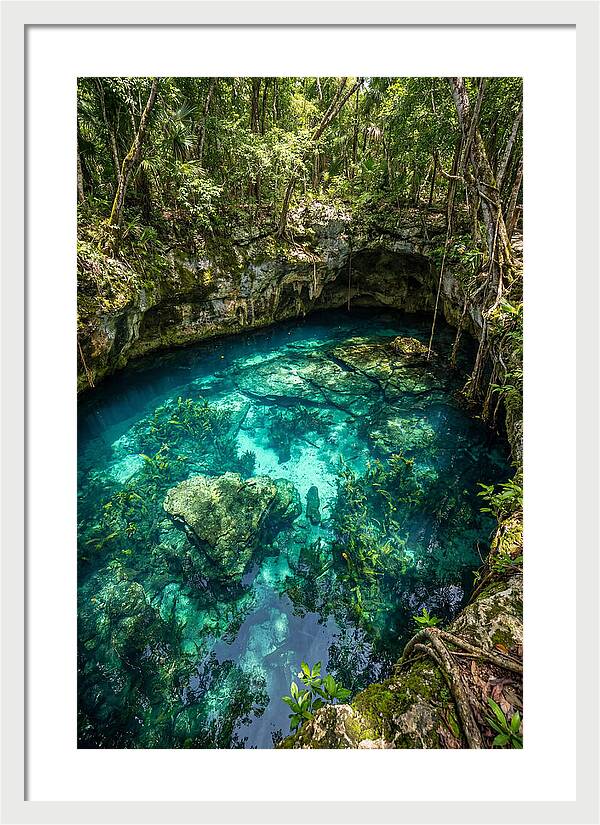 Topdown View Of A Cenote