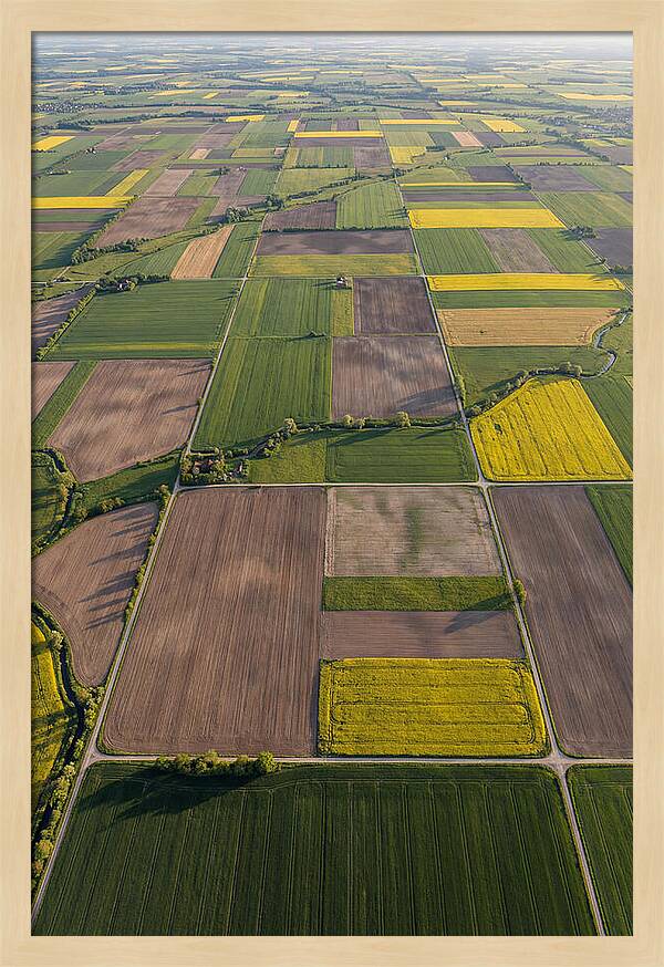 Topdown View Of Farmland Patchwork
