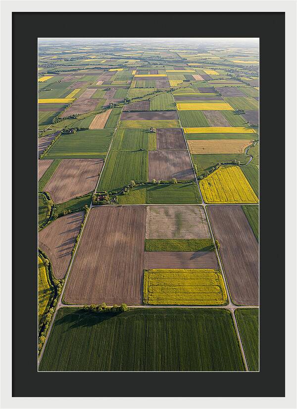 Topdown View Of Farmland Patchwork