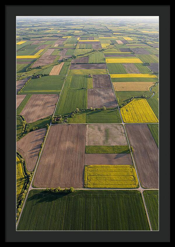 Topdown View Of Farmland Patchwork