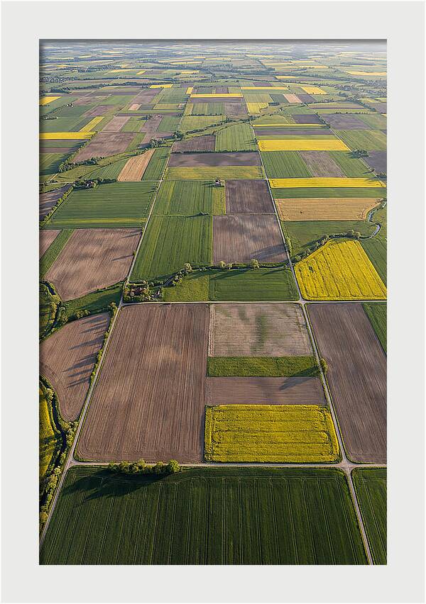 Topdown View Of Farmland Patchwork