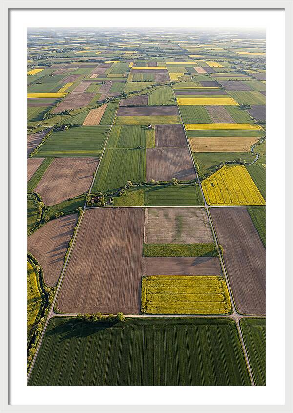 Topdown View Of Farmland Patchwork
