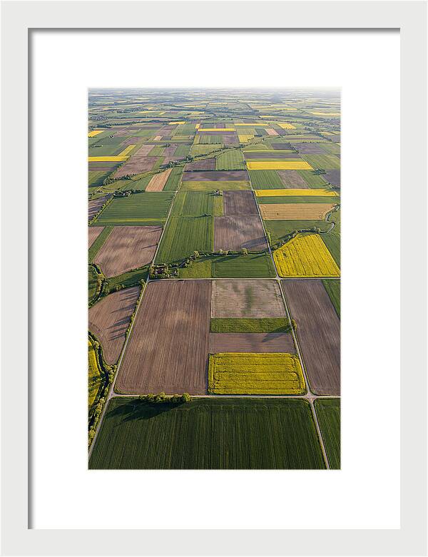 Topdown View Of Farmland Patchwork