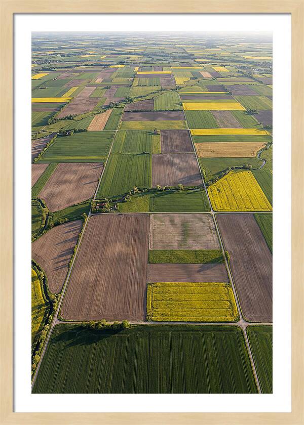 Topdown View Of Farmland Patchwork