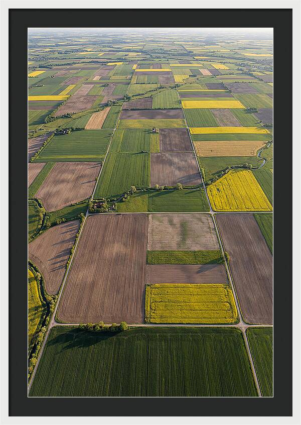 Topdown View Of Farmland Patchwork