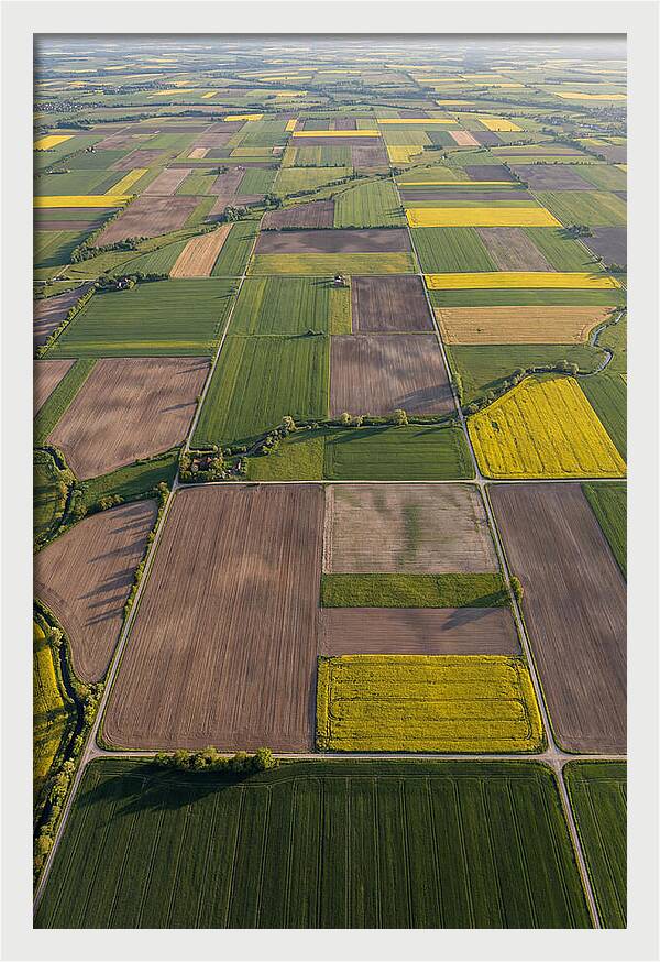 Topdown View Of Farmland Patchwork