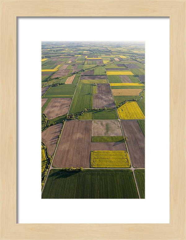 Topdown View Of Farmland Patchwork