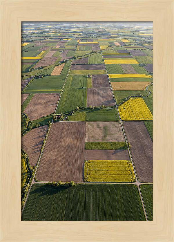 Topdown View Of Farmland Patchwork