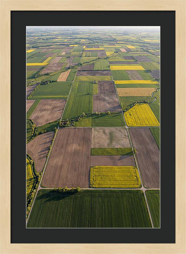 Topdown View Of Farmland Patchwork