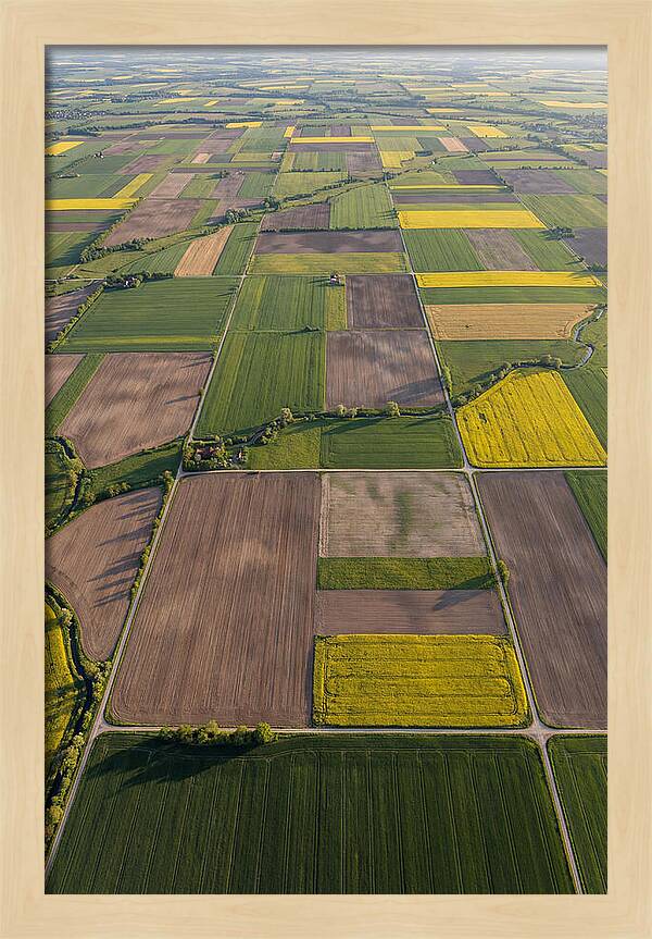 Topdown View Of Farmland Patchwork