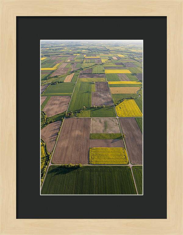 Topdown View Of Farmland Patchwork