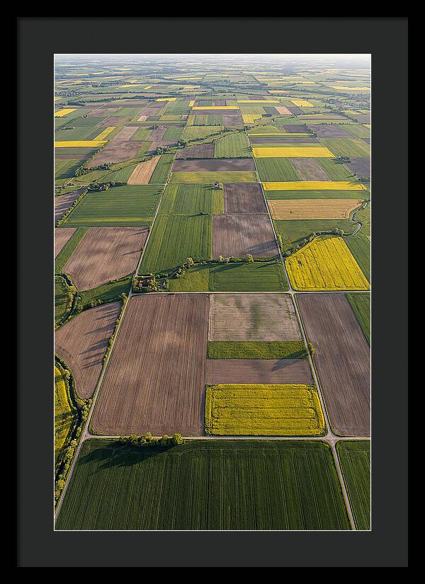Topdown View Of Farmland Patchwork