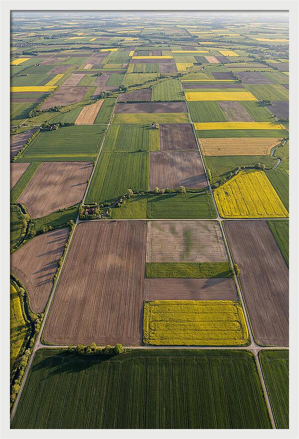 Topdown View Of Farmland Patchwork