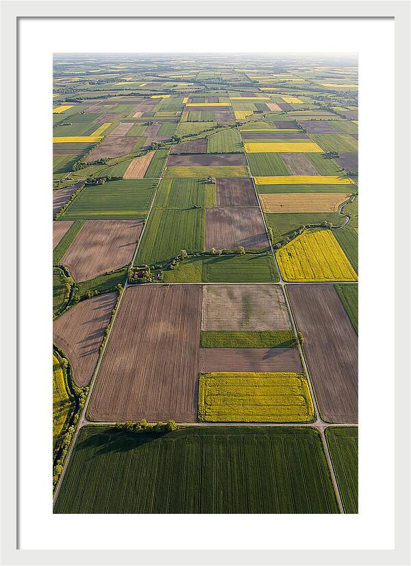 Topdown View Of Farmland Patchwork