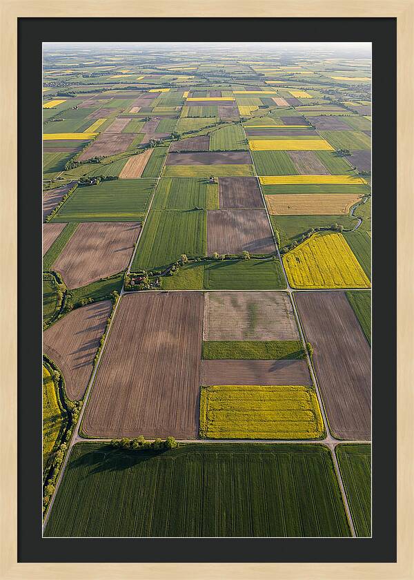 Topdown View Of Farmland Patchwork