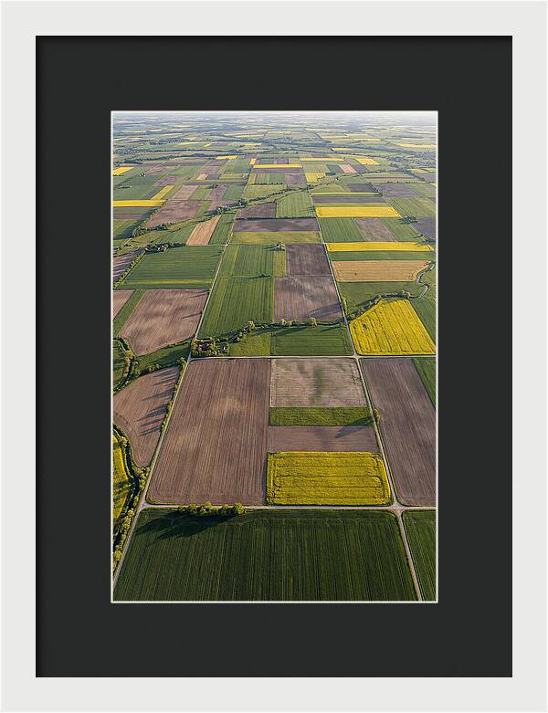 Topdown View Of Farmland Patchwork