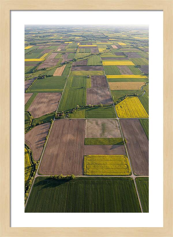 Topdown View Of Farmland Patchwork