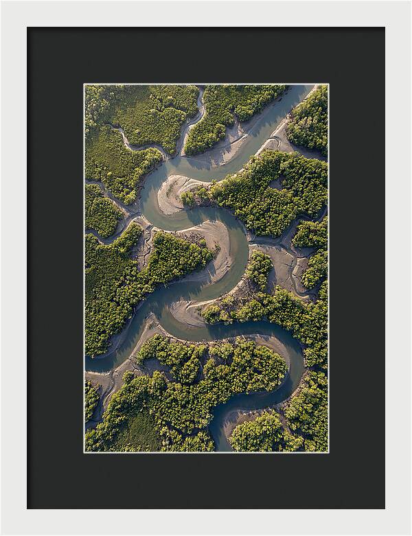 Topdown View Of Mangrove Channels