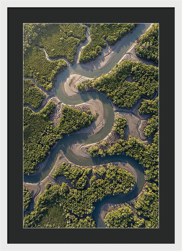 Topdown View Of Mangrove Channels