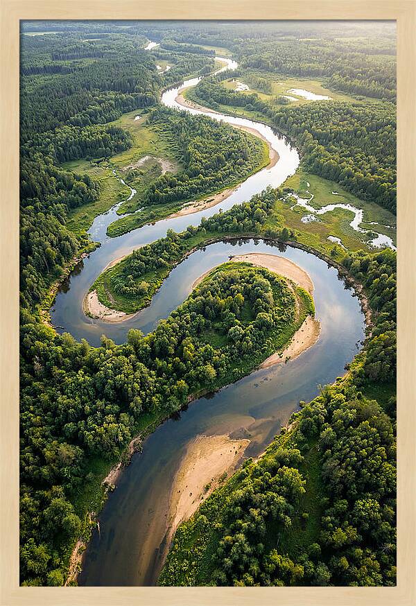 Topdown View Of River Meanders
