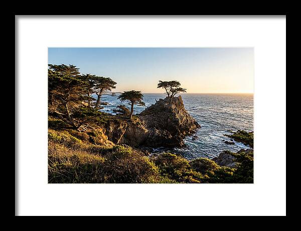 Torrey Pines Coastal Serenity