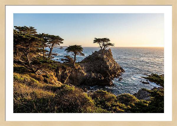 Torrey Pines Coastal Serenity