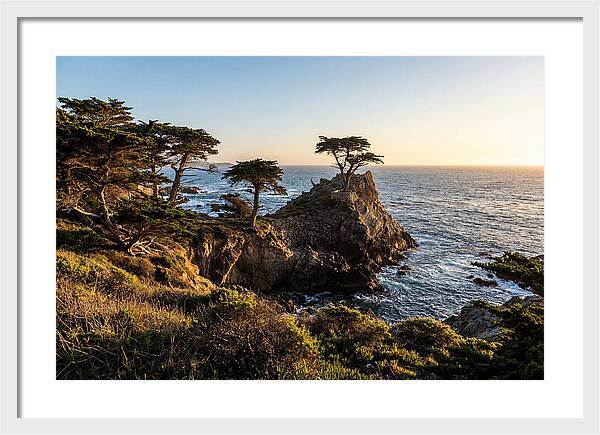 Torrey Pines Coastal Serenity