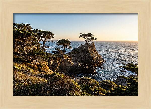 Torrey Pines Coastal Serenity