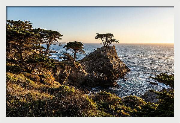 Torrey Pines Coastal Serenity